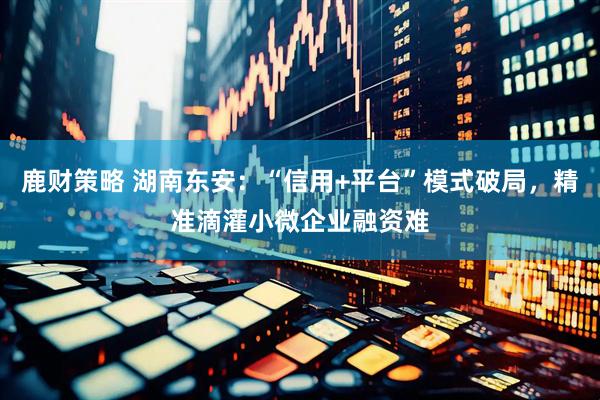 鹿财策略 湖南东安：“信用+平台”模式破局，精准滴灌小微企业融资难