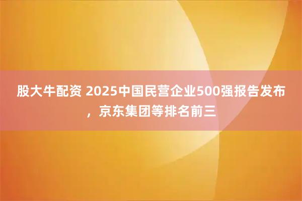 股大牛配资 2025中国民营企业500强报告发布，京东集团等排名前三