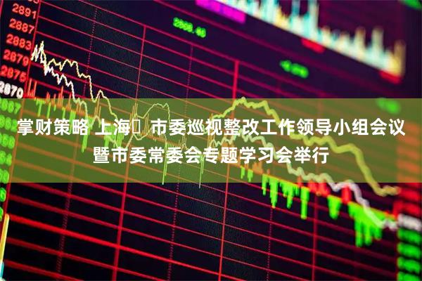 掌财策略 上海市委巡视整改工作领导小组会议暨市委常委会专题学习会举行